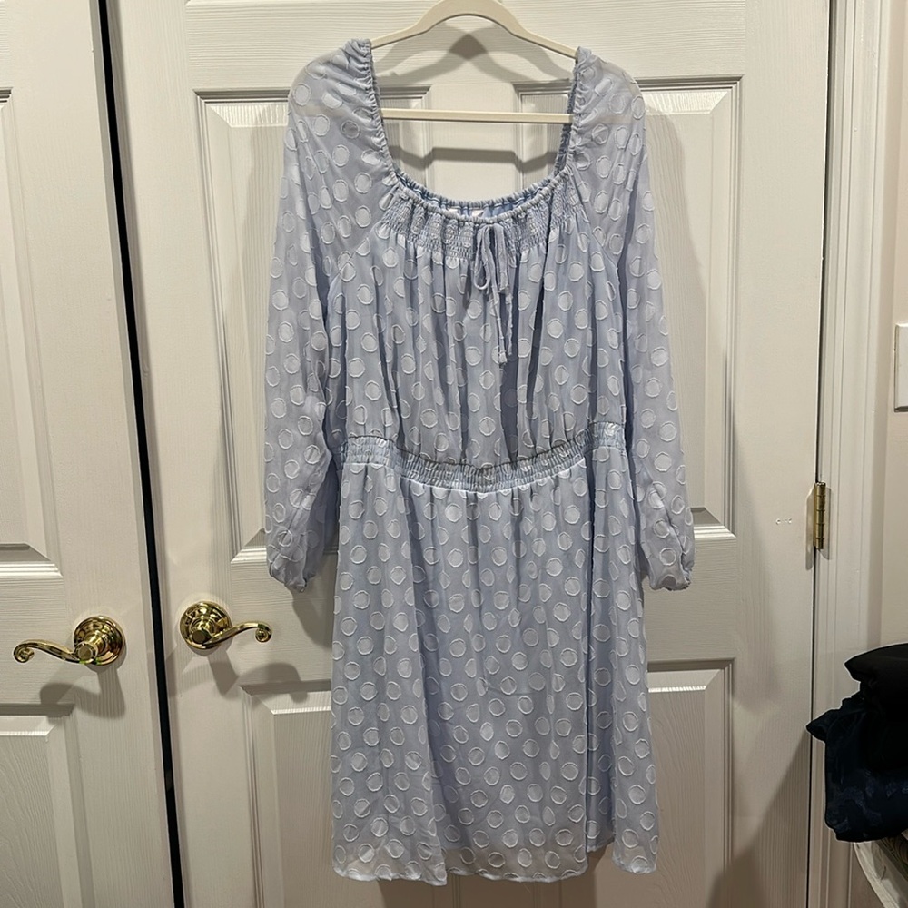 Long sleeve. Sheer sleeve. Dress with blow at front.